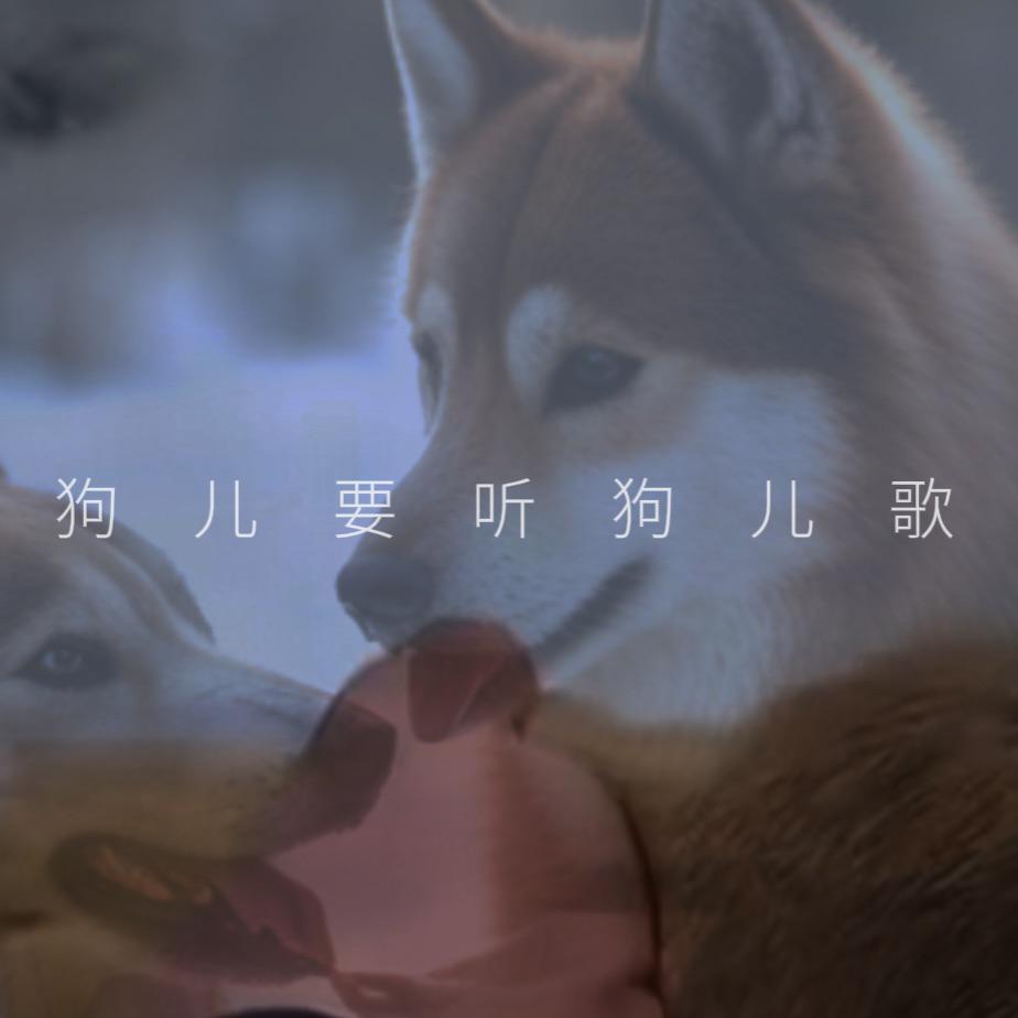 狗儿要听狗儿歌