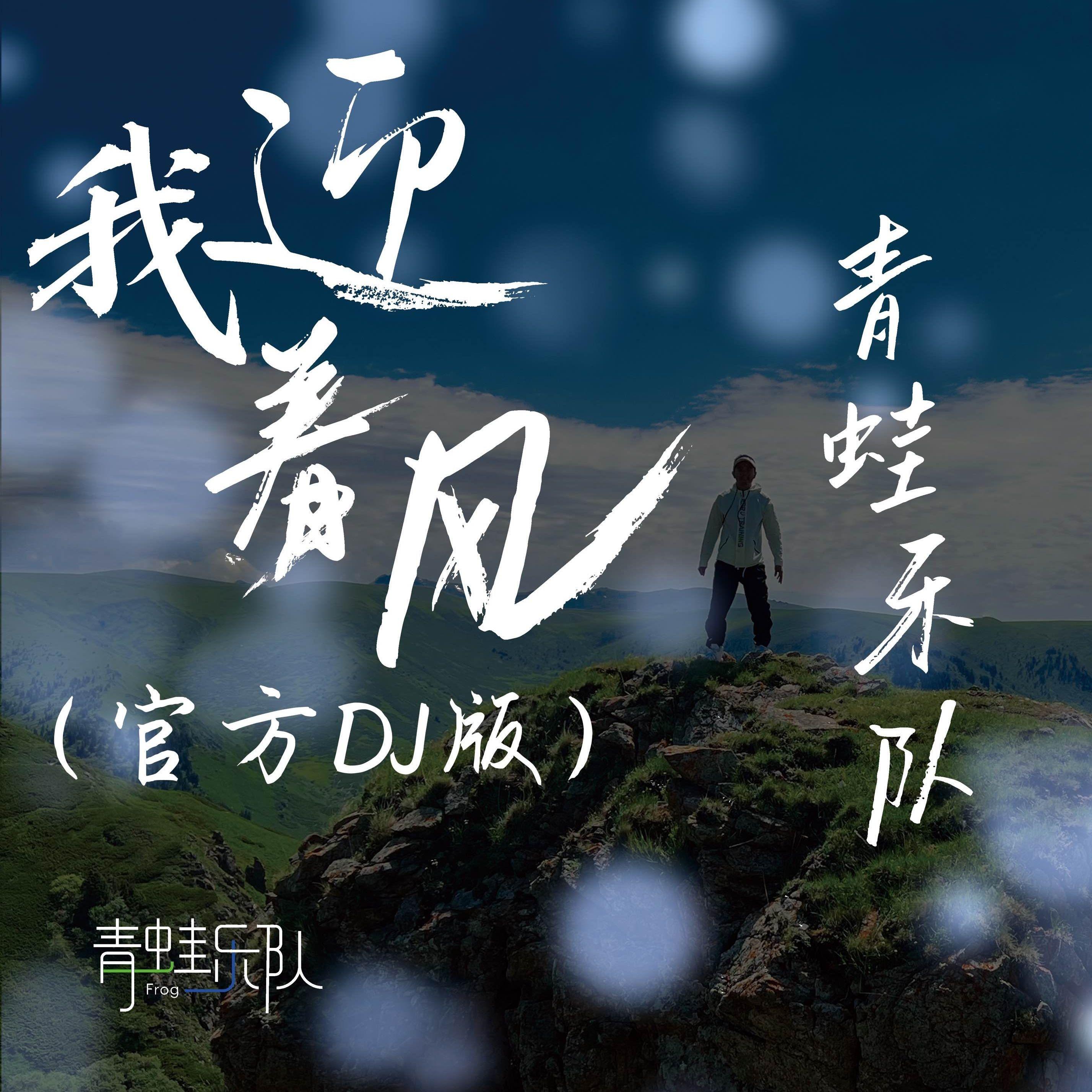 我迎着风 （官方DJ版）