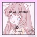 Welcome to the Kawaii Rabbit！