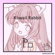 Welcome to the Kawaii Rabbit！