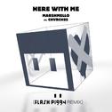 Here With Me (Flash Piggy Remix)专辑