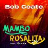 Bob Coate - Mambo Rosalita