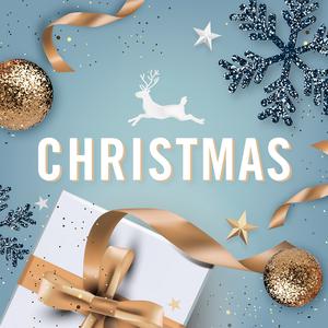 Idina Menzel - All I Want For Christmas Is You (KV Instrumental) 无和声伴奏 （降8半音）
