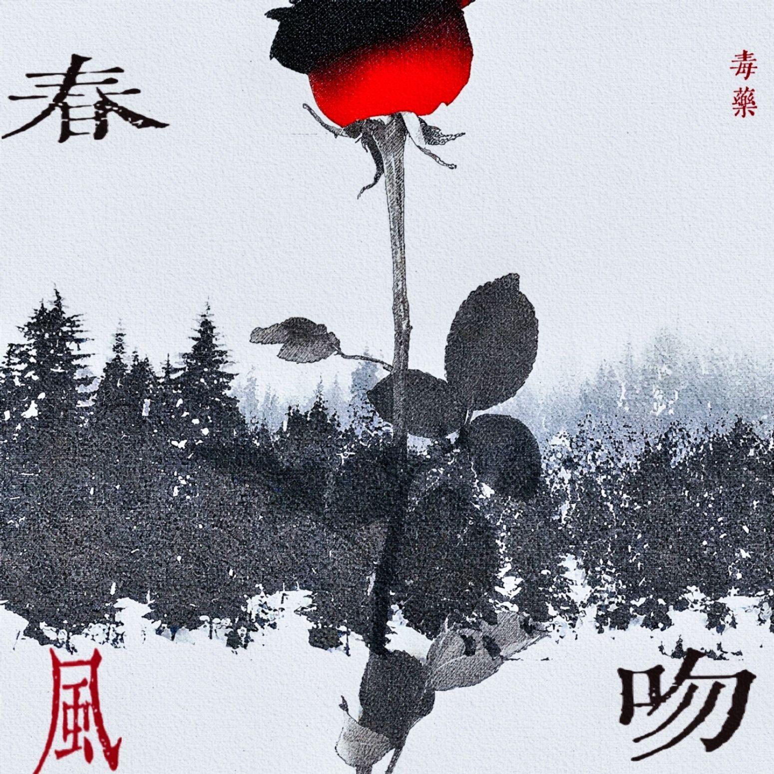 春风一吻