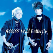 Wild Butterfly