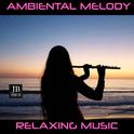 Ambiental Melody Vol. 2专辑