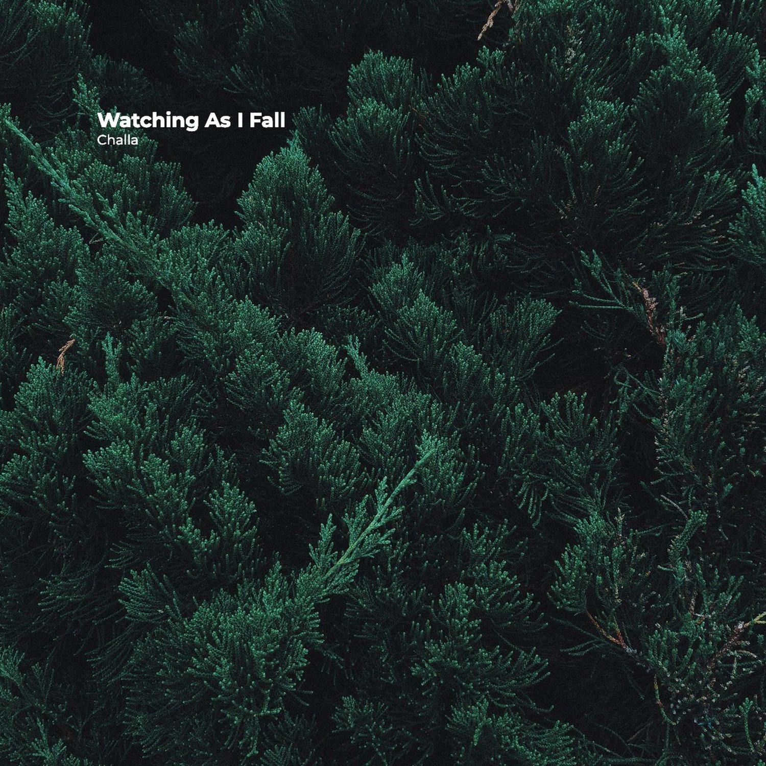 Watching as I Fall