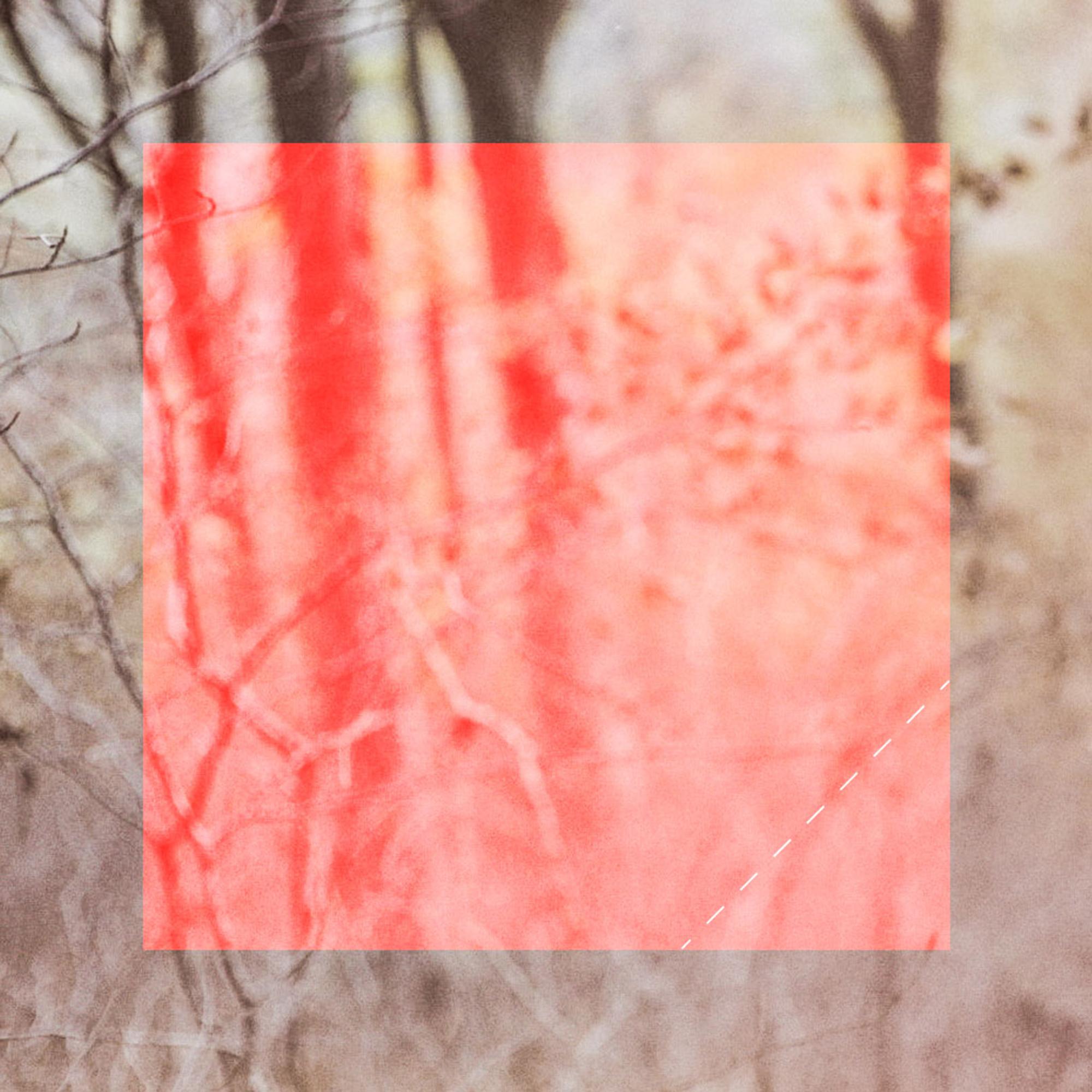 Red Handkerchiefs (Australian Single Mix)