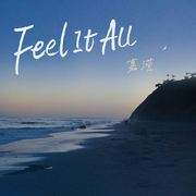 Feel It All专辑