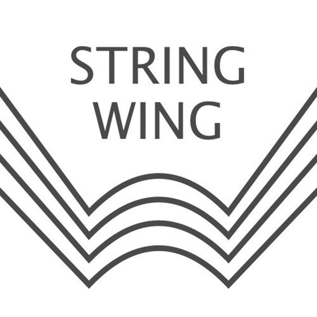 StringWing Collection专辑