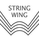 StringWing Collection专辑