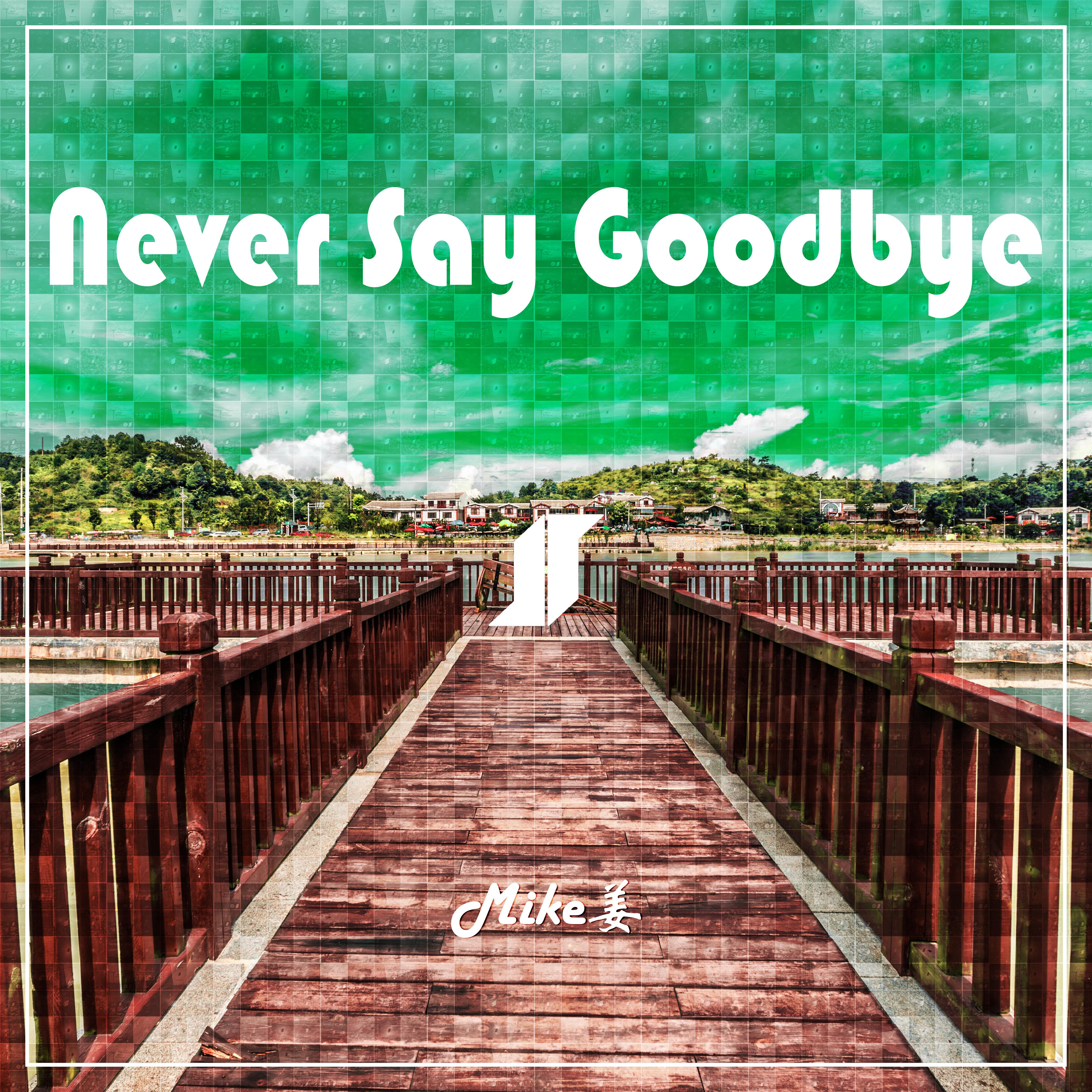 Never Say Goodbye专辑