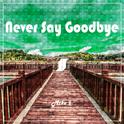 Never Say Goodbye专辑