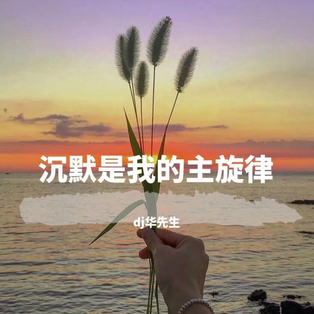 沉默是我的主旋律