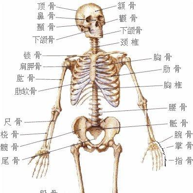 小城市的上班路上【专制】