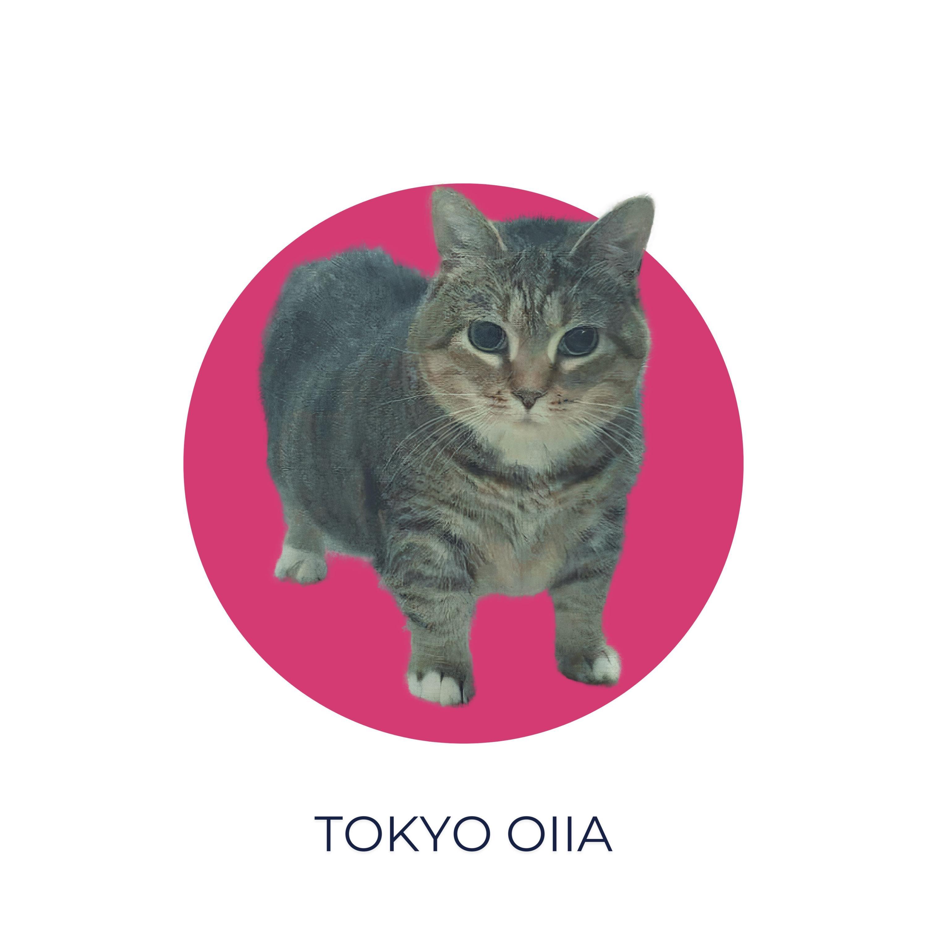 Tokyo Oiia