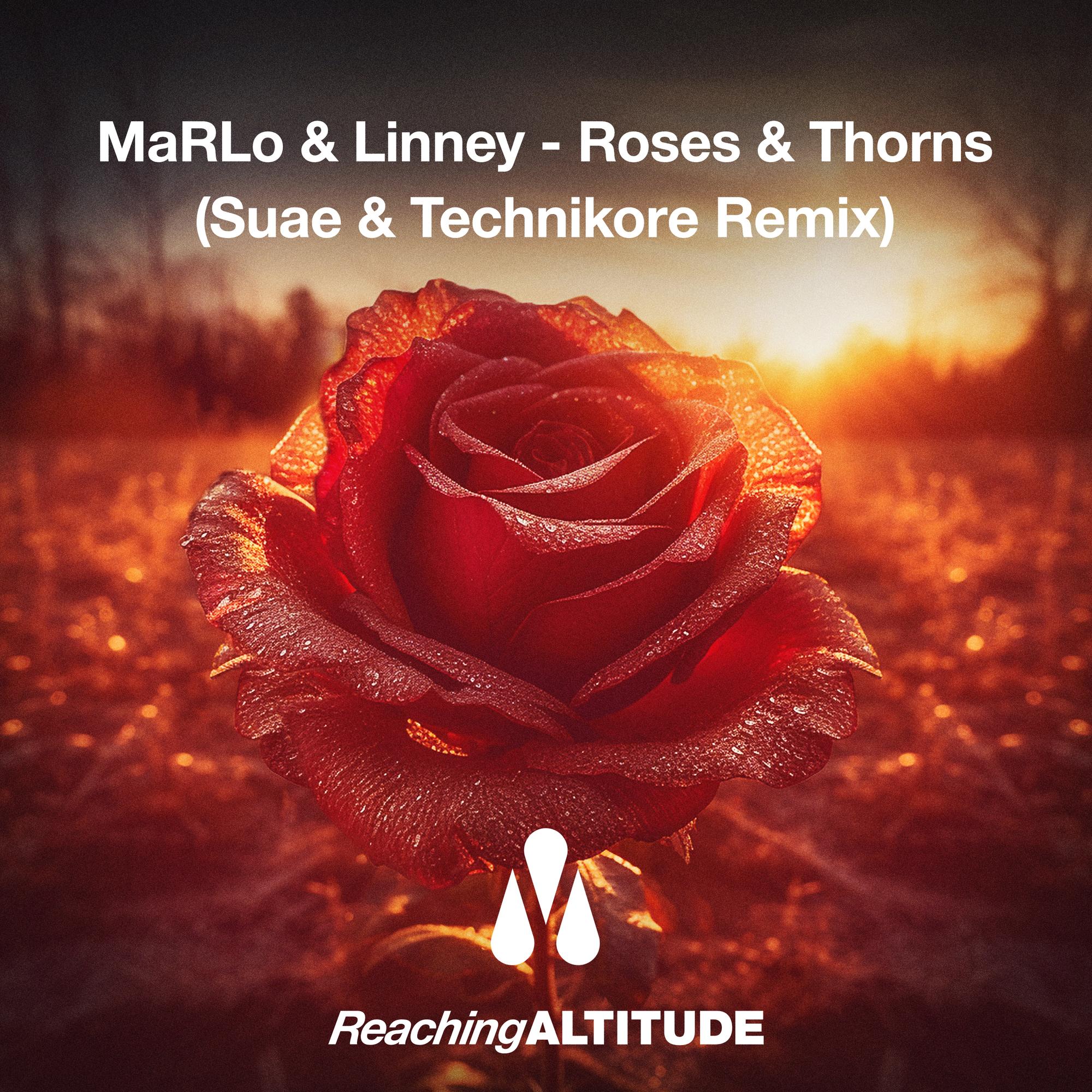 Roses & Thorns