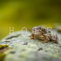 Hope (Extended)