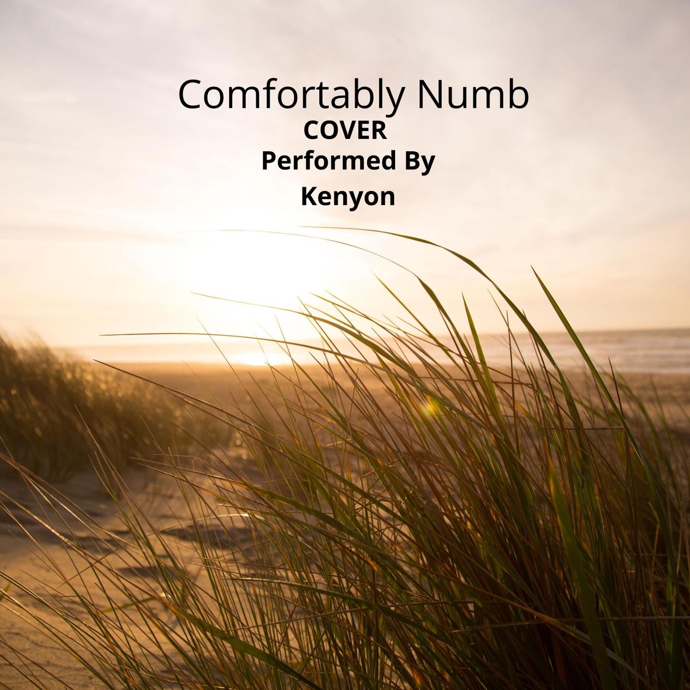 Comfortably Numb