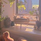 季花海