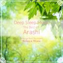 Deep Sleep Music - The Best of Arashi: Relaxing Music Box Covers专辑