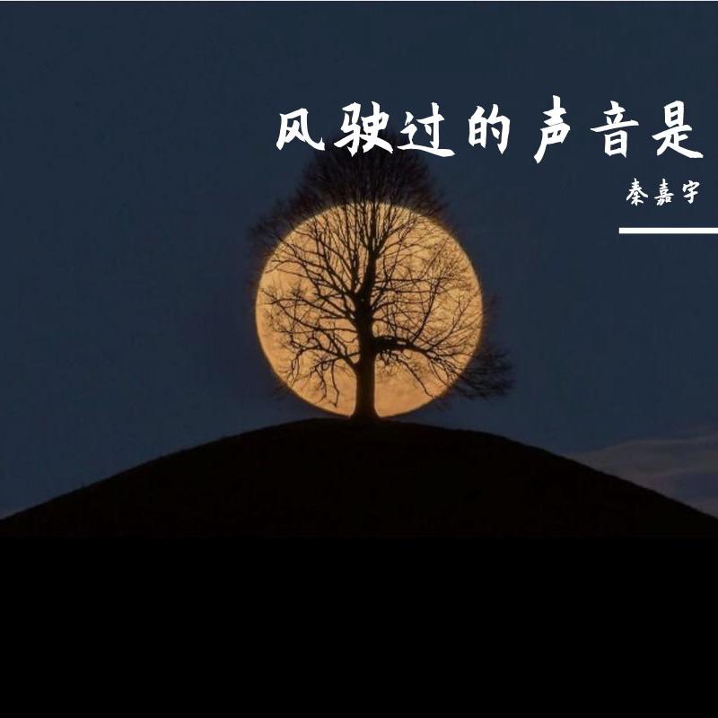 风驶过的声音是