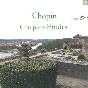 Chopin Op.10 No.12 （降4半音）