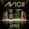 Levels (Remixes)专辑