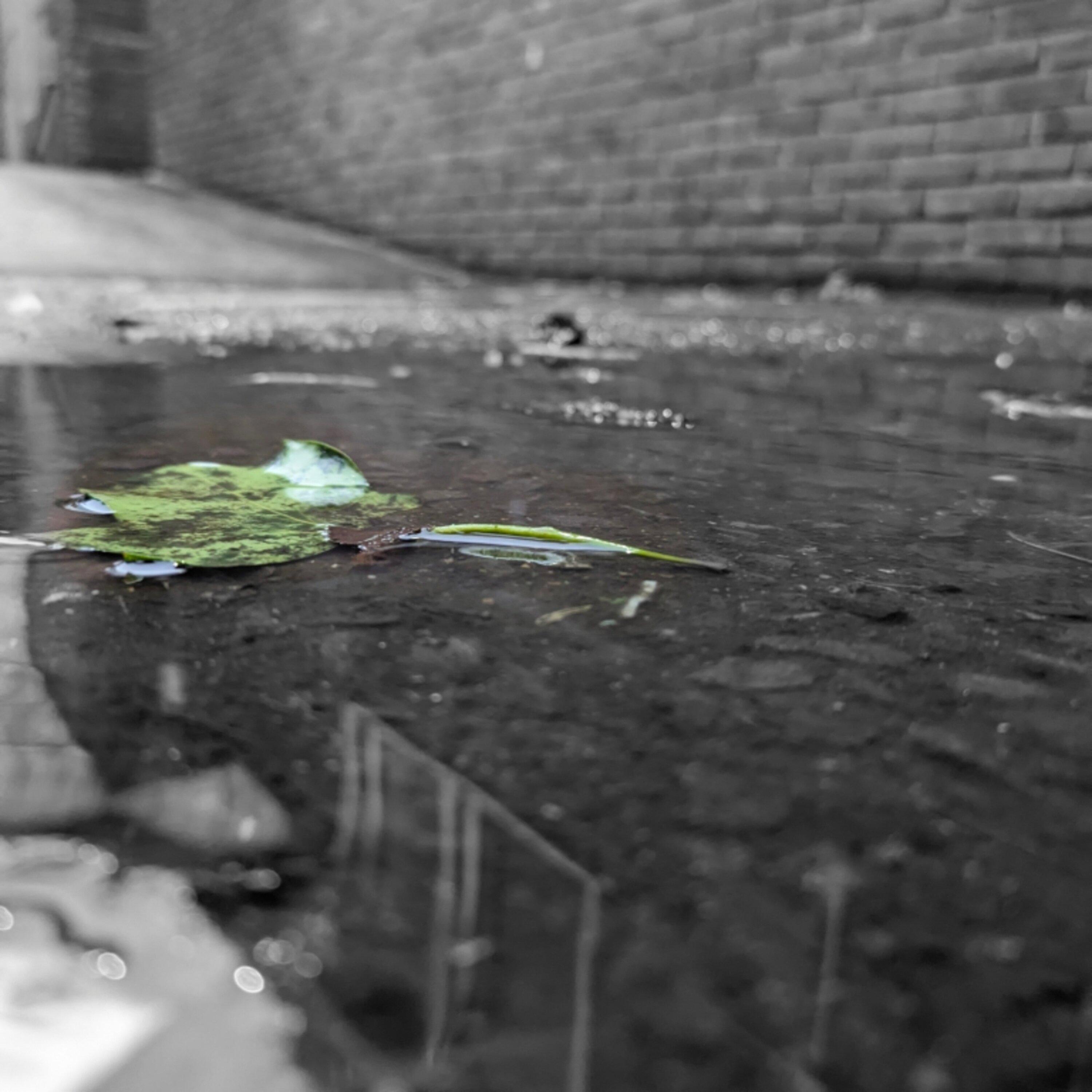 Murky Waters