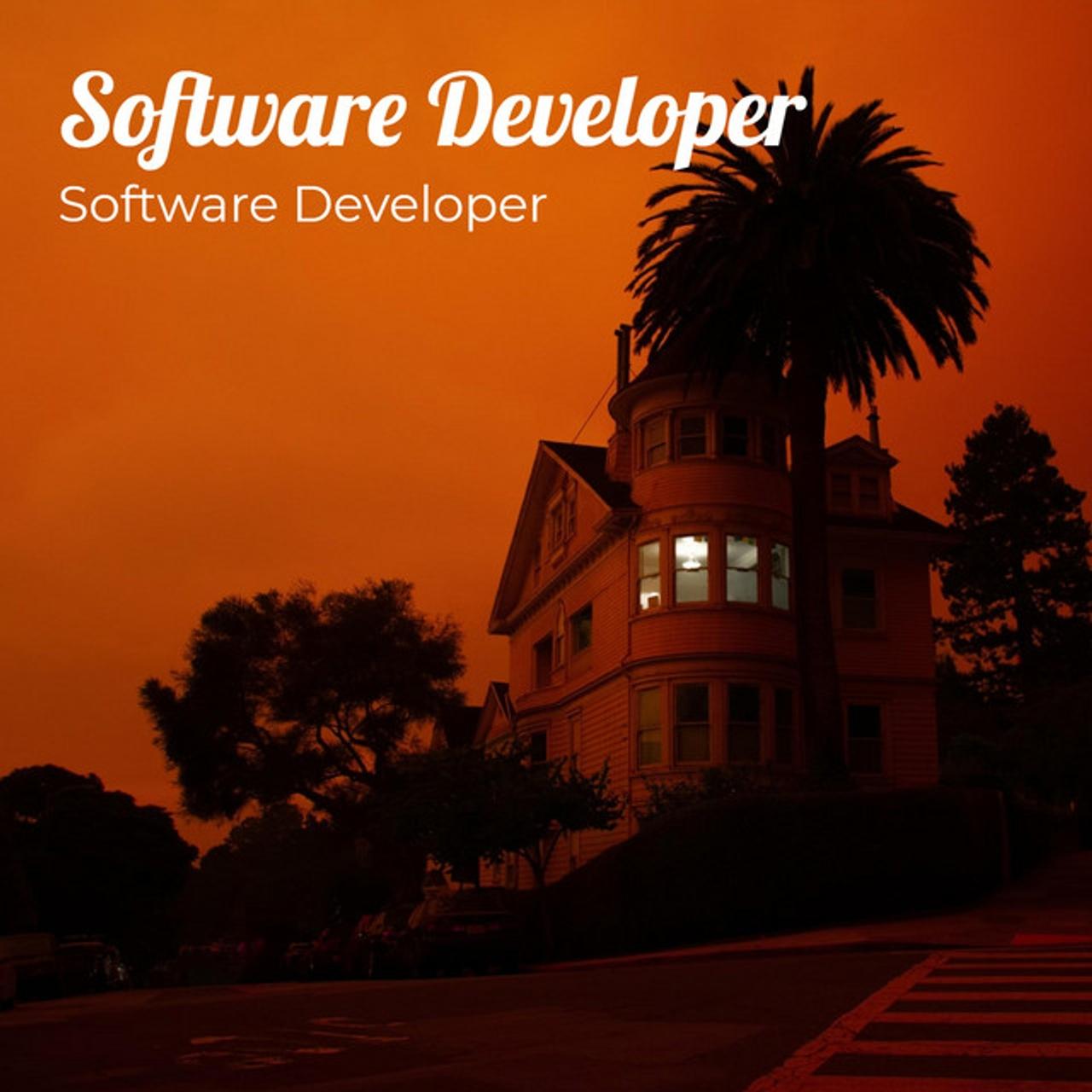 Software Developer
