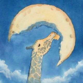 【午夜觅食者】