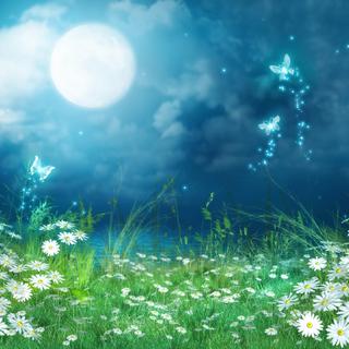 纯音乐---歌词有时候是一种障碍