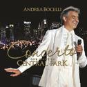 Concerto: One Night In Central Park专辑