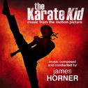 The Karate Kid (Music from the Motion Picture)专辑