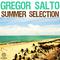 Gregor Salto Summer Selection专辑