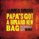 Papa's Got A Brand New Bag (knownwolf - Agami Remix)专辑