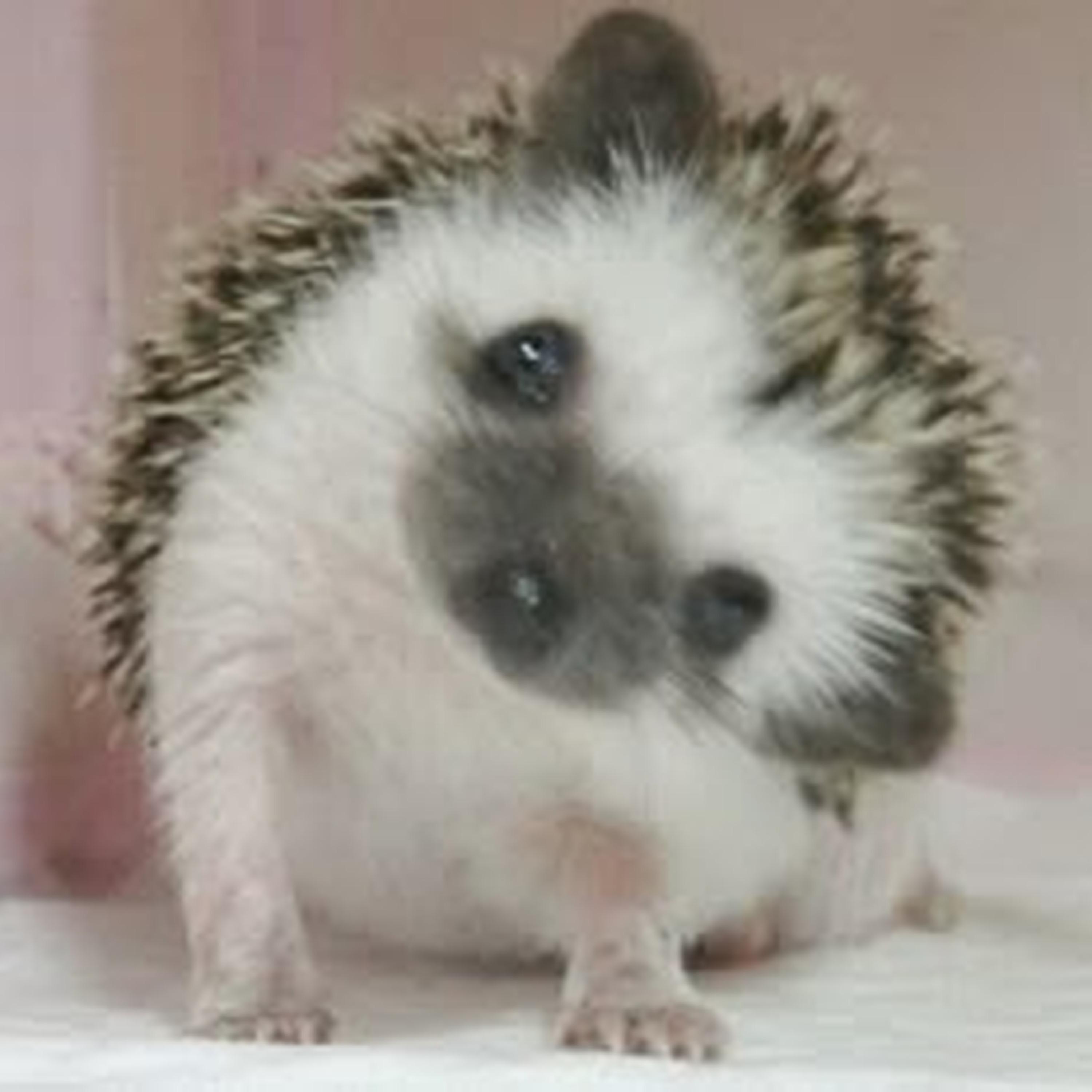 Dance Again (slowed)