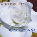 Walk in Beauty-Healing Series, Vol.4专辑