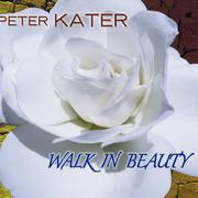 Walk in Beauty-Healing Series, Vol.4