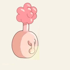 Plumbus