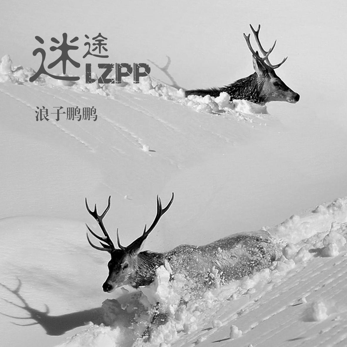 迷徒LZPP