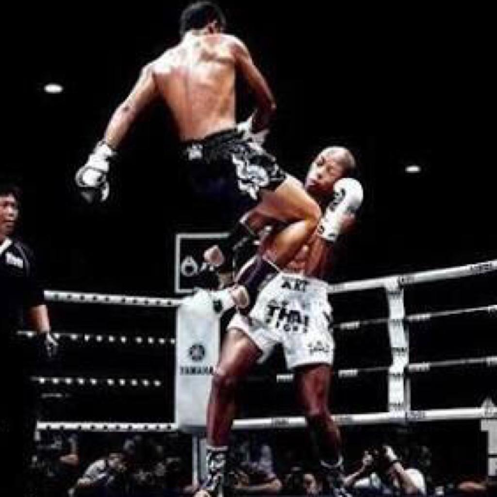 泰拳 踢拳 训练