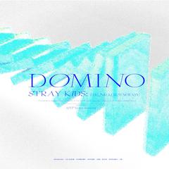 DOMINO 迷