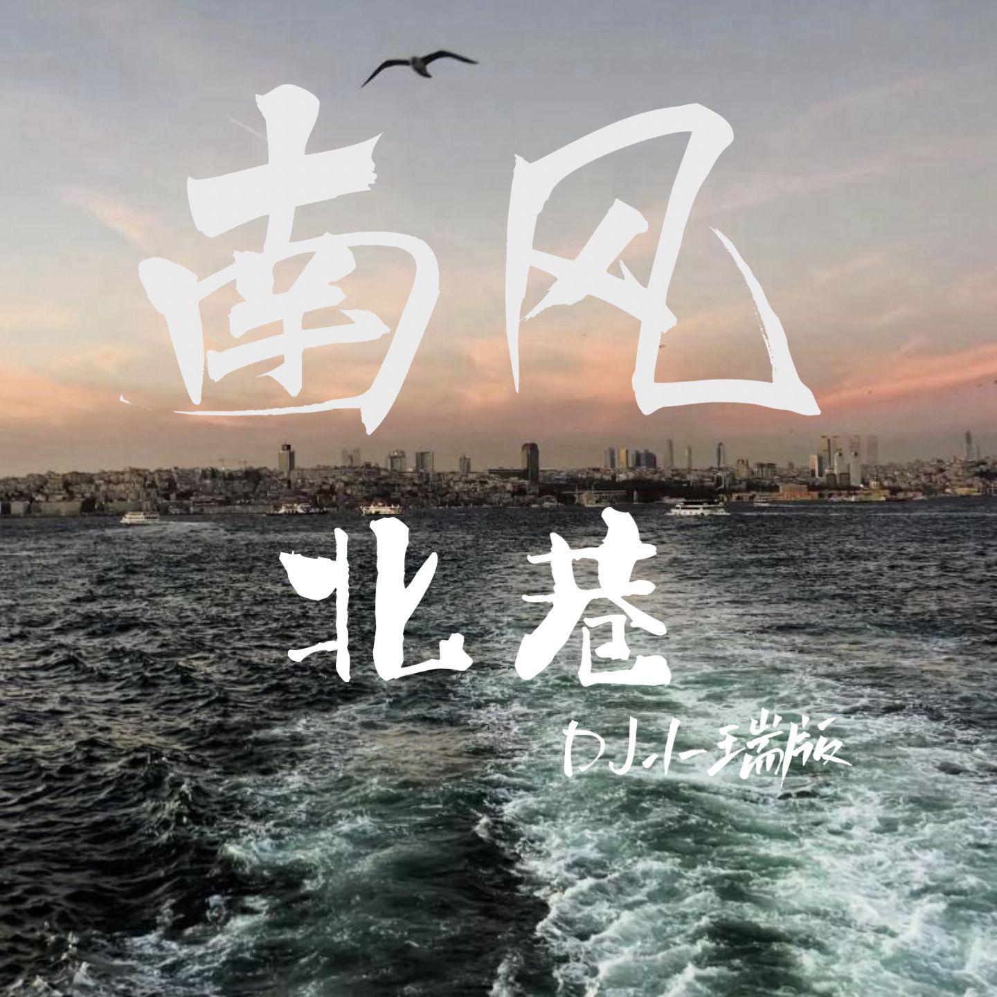 南风北巷（DJ小瑞版）