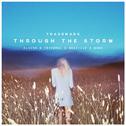Through The Storm专辑