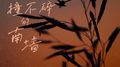 生活是撞不碎的南墙专辑