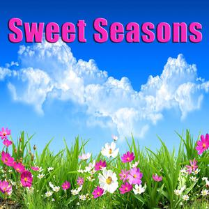 Sweet Seasons (Karaoke) （原版立体声）