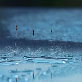 ❤️【助眠•学习】【无配乐】纯自然声音