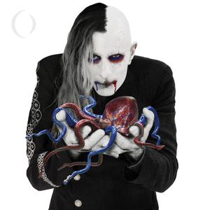 The Doomed - A Perfect Circle (unofficial Instrumental) 无和声伴奏