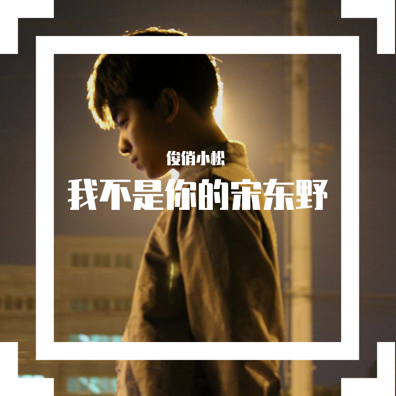 我不是你的宋东野